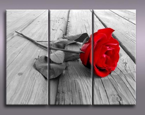 stampa fotografie online